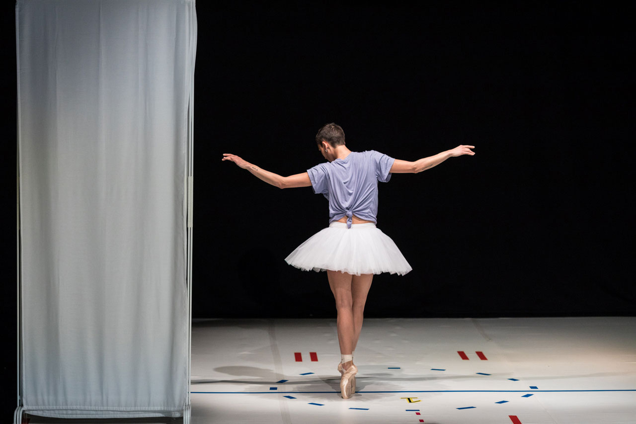 Teatro danza. La perfetta fusione